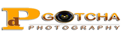 Dp Gotcha Photography